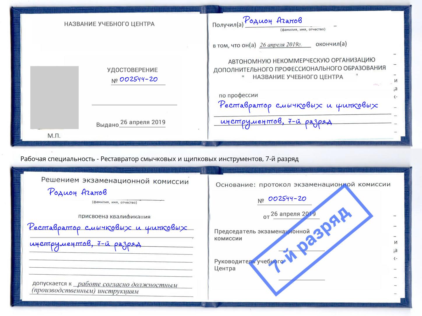 корочка 7-й разряд Реставратор смычковых и щипковых инструментов Баксан